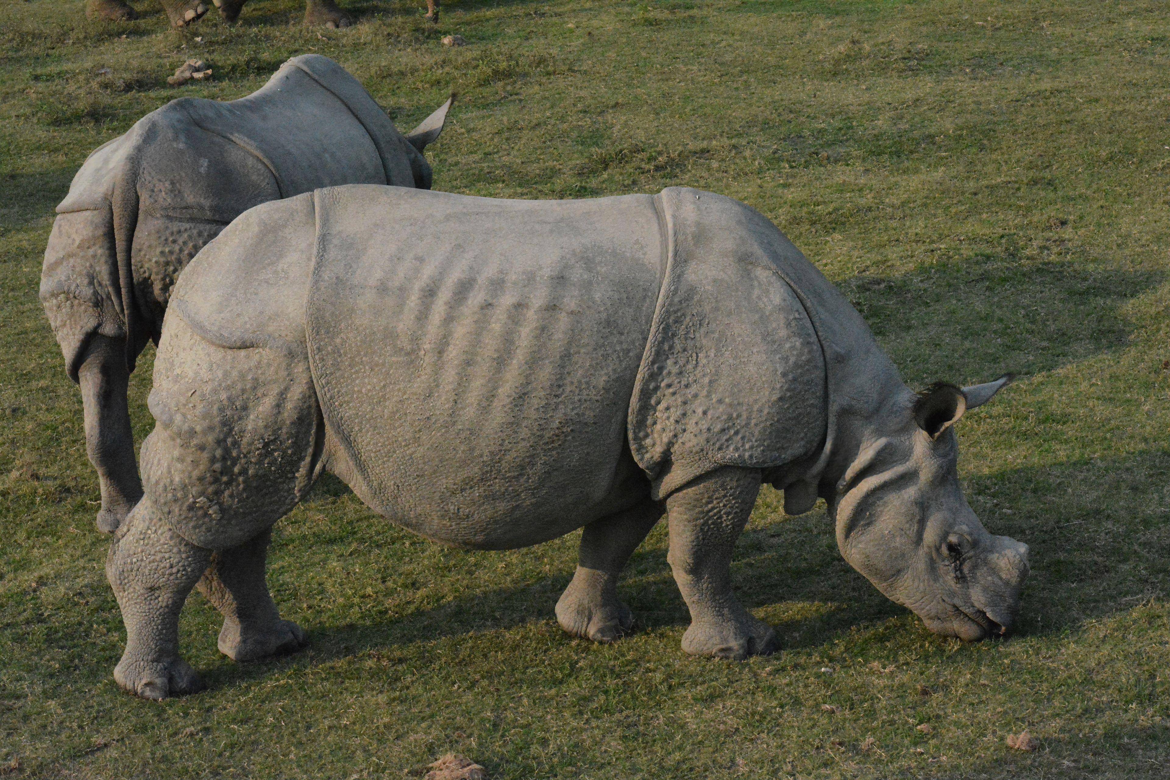 Assam tour photo 3 - Vinayak Holidays