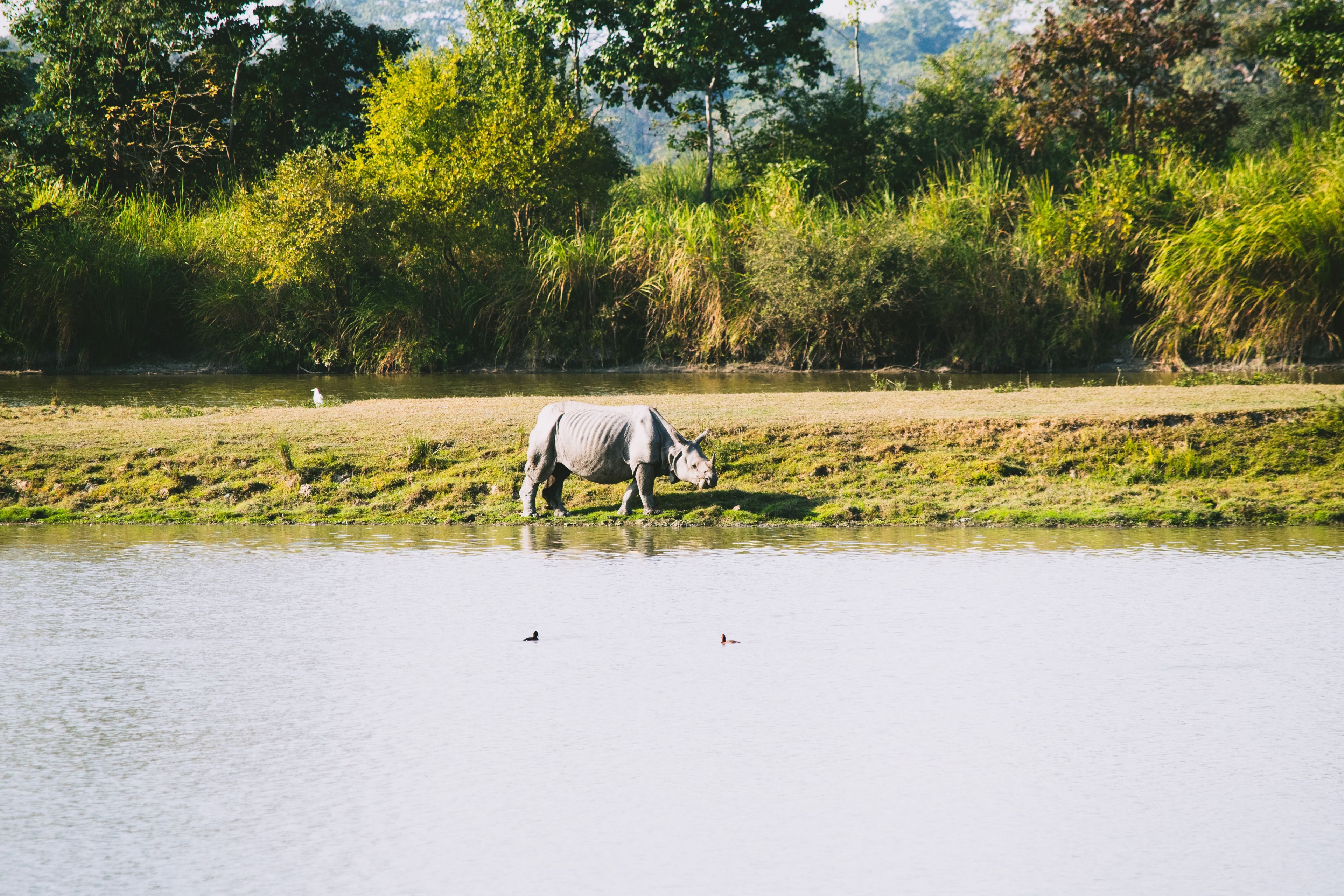 Assam tour packages - Vinayak Holidays