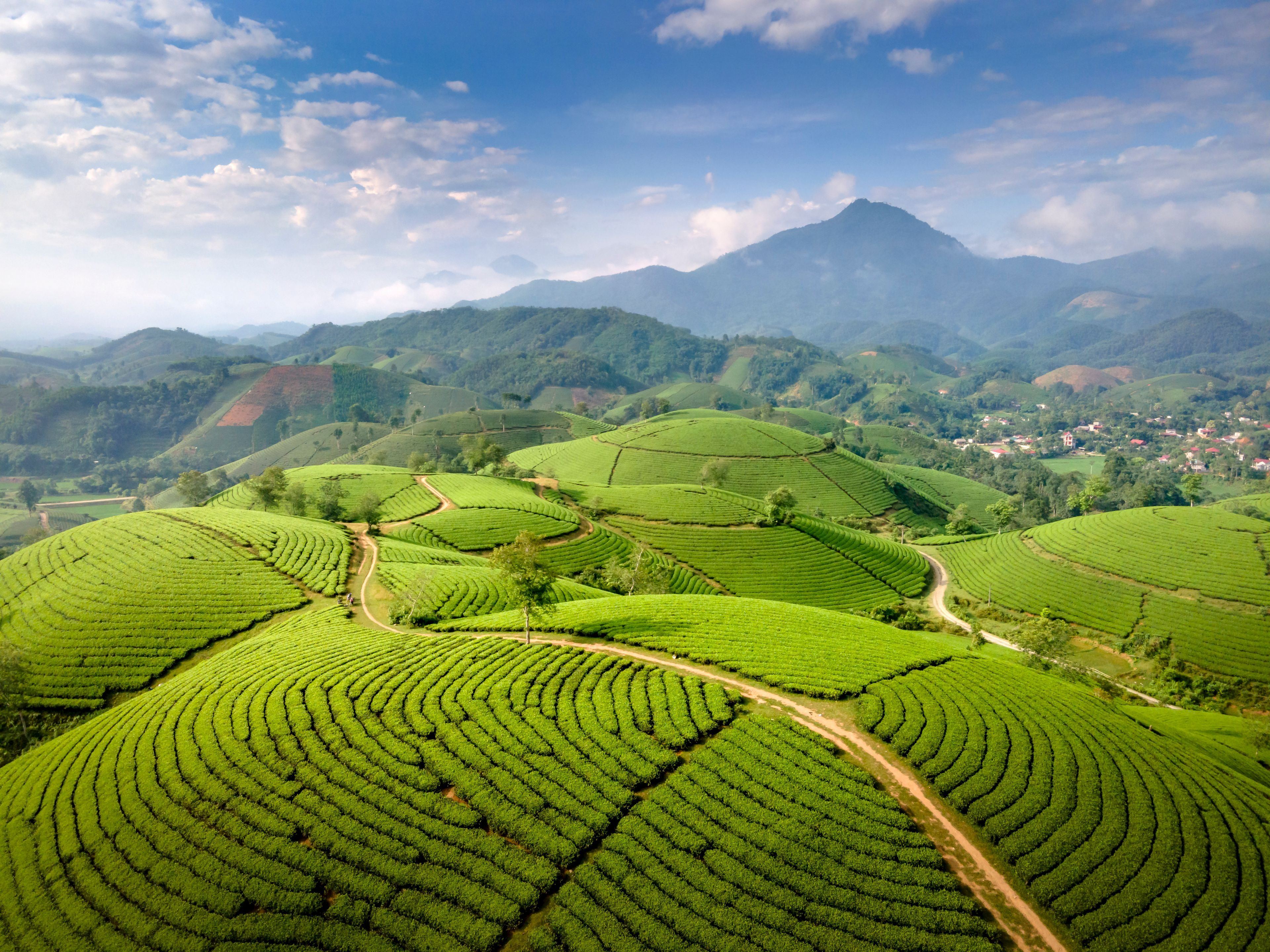 Kerala tour photo 4 - Vinayak Holidays