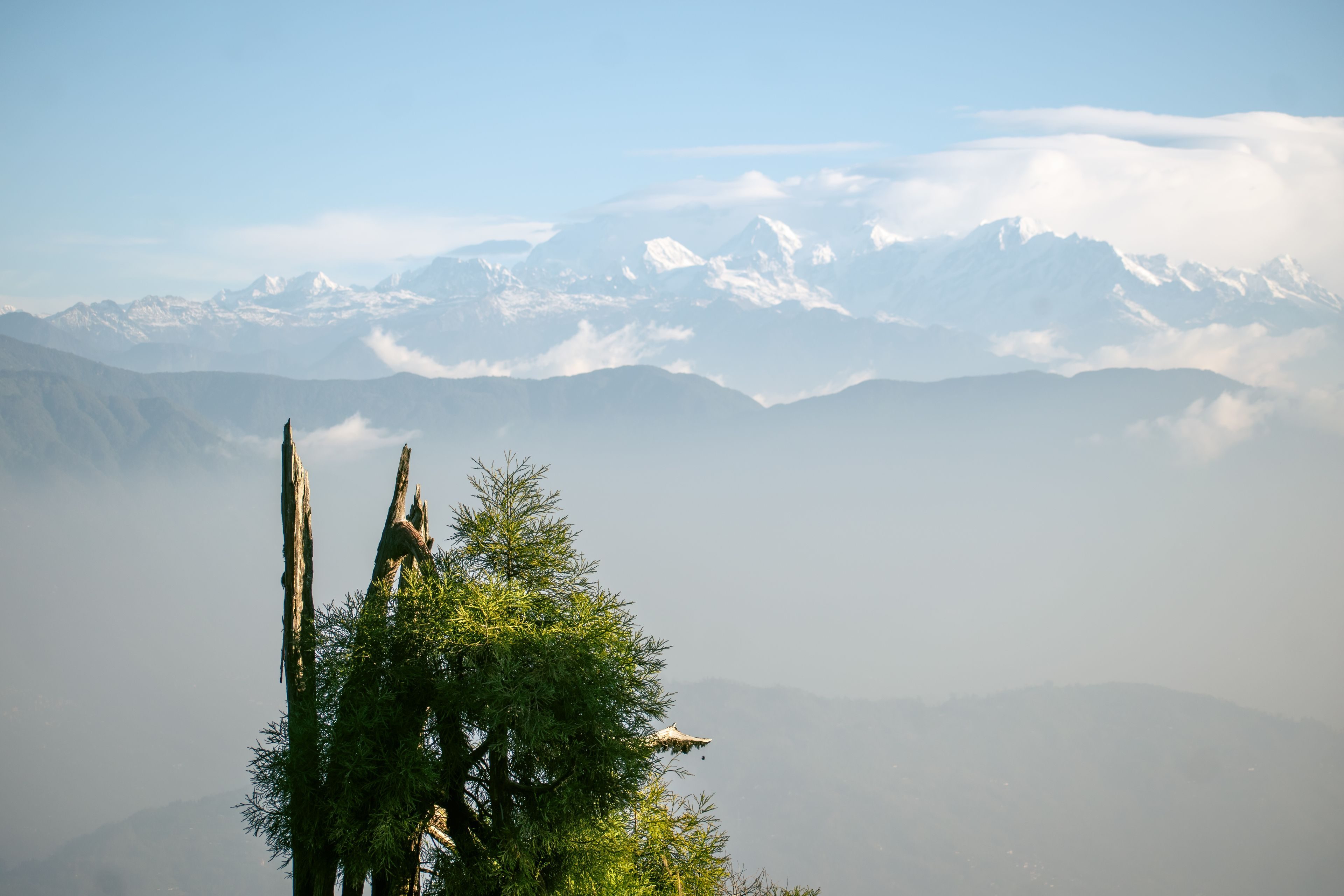 Sikkim & Darjeeling tour photo 1 - Vinayak Holidays