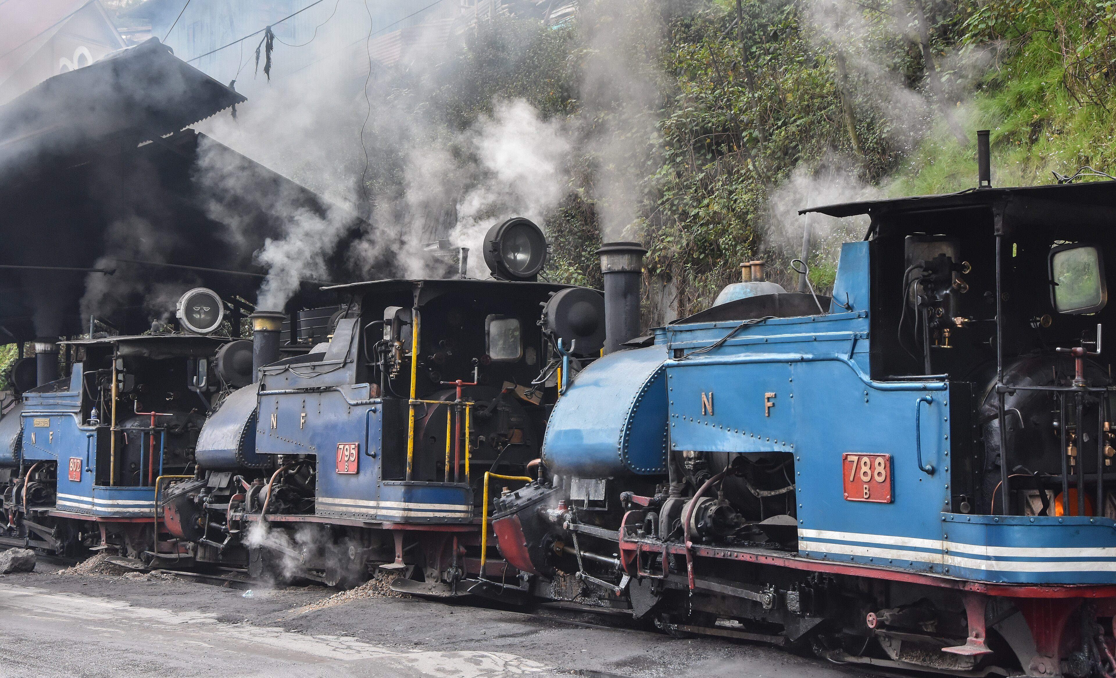 Sikkim & Darjeeling tour photo 3 - Vinayak Holidays