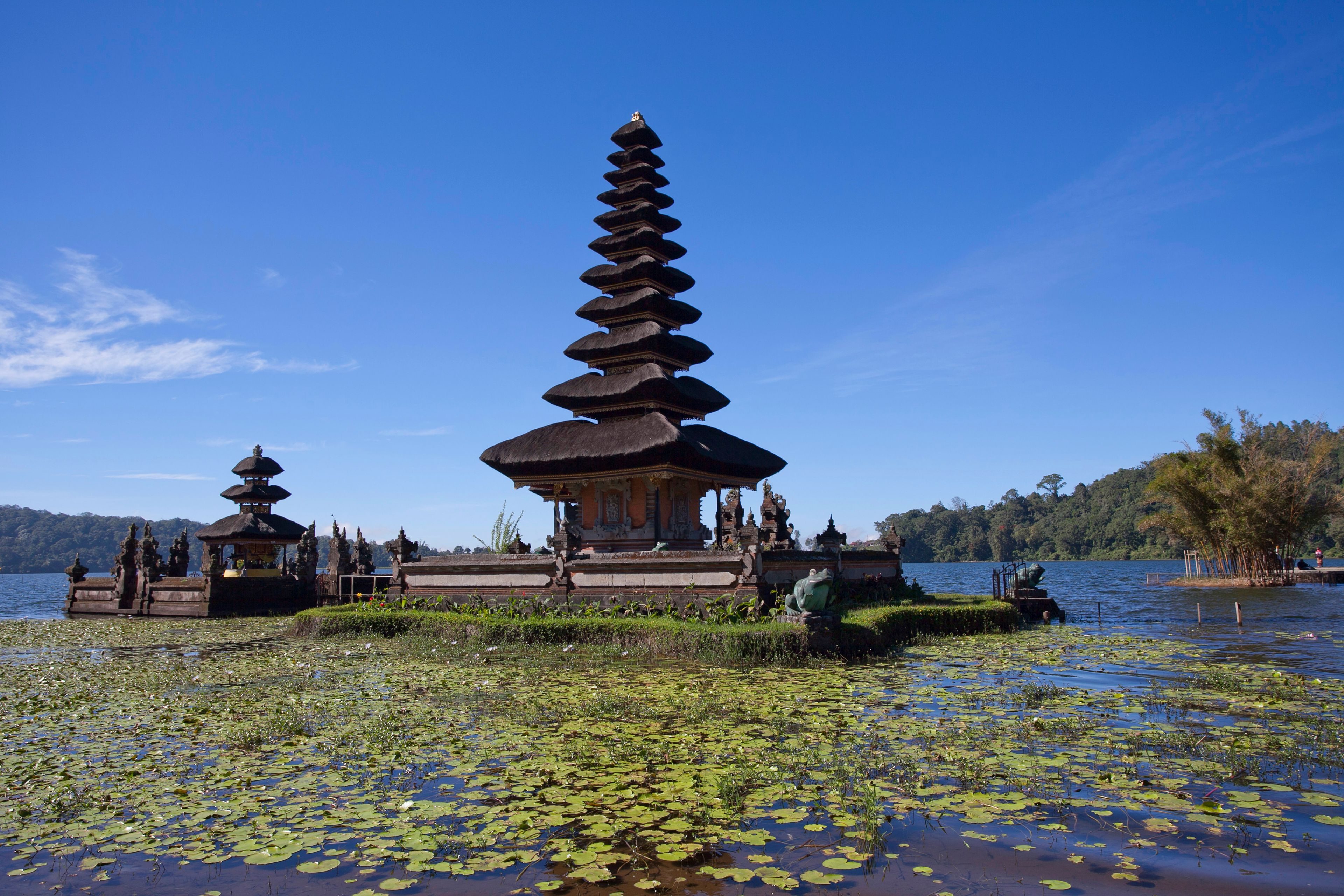 Bali tour photo 2