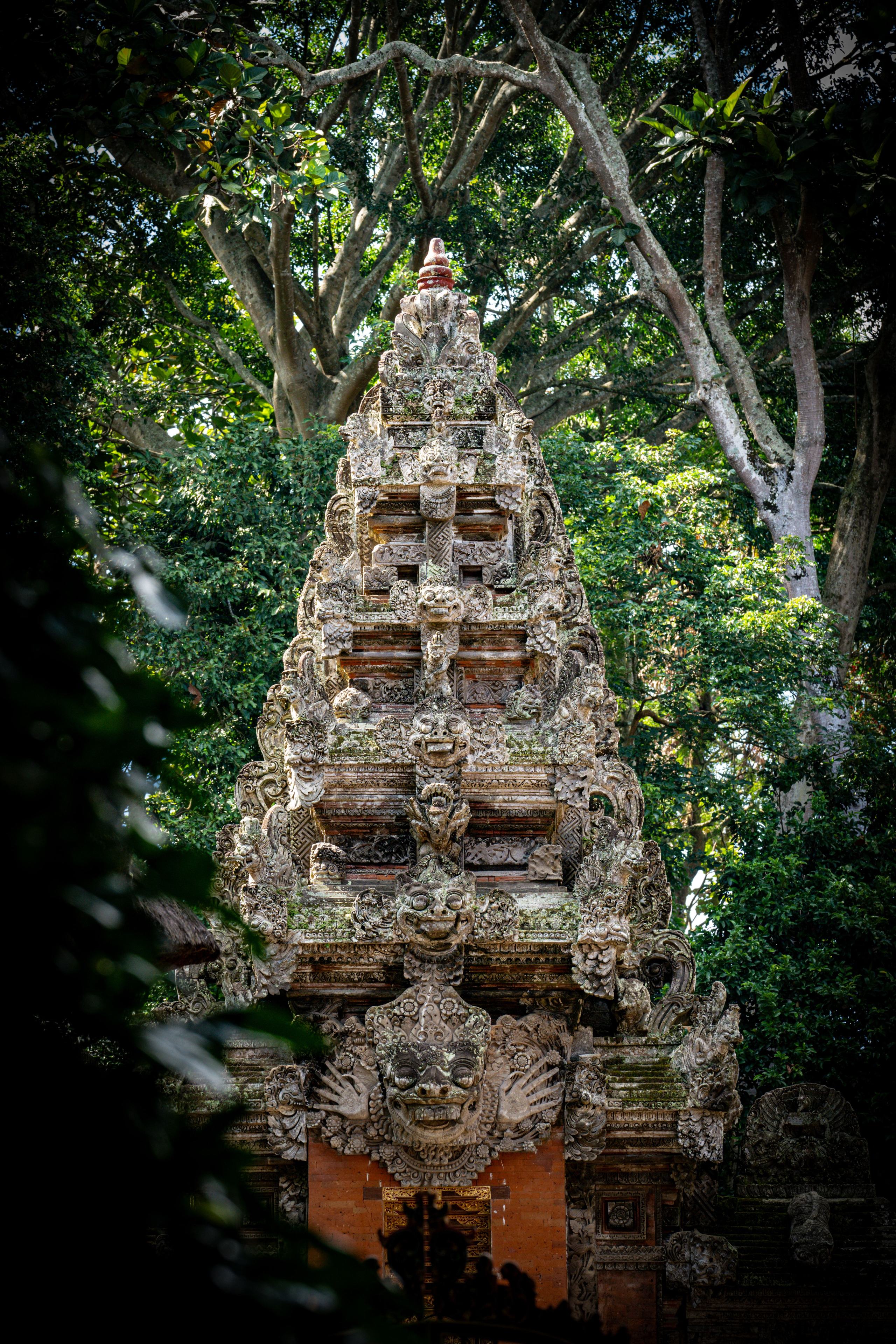 Bali tour photo 8