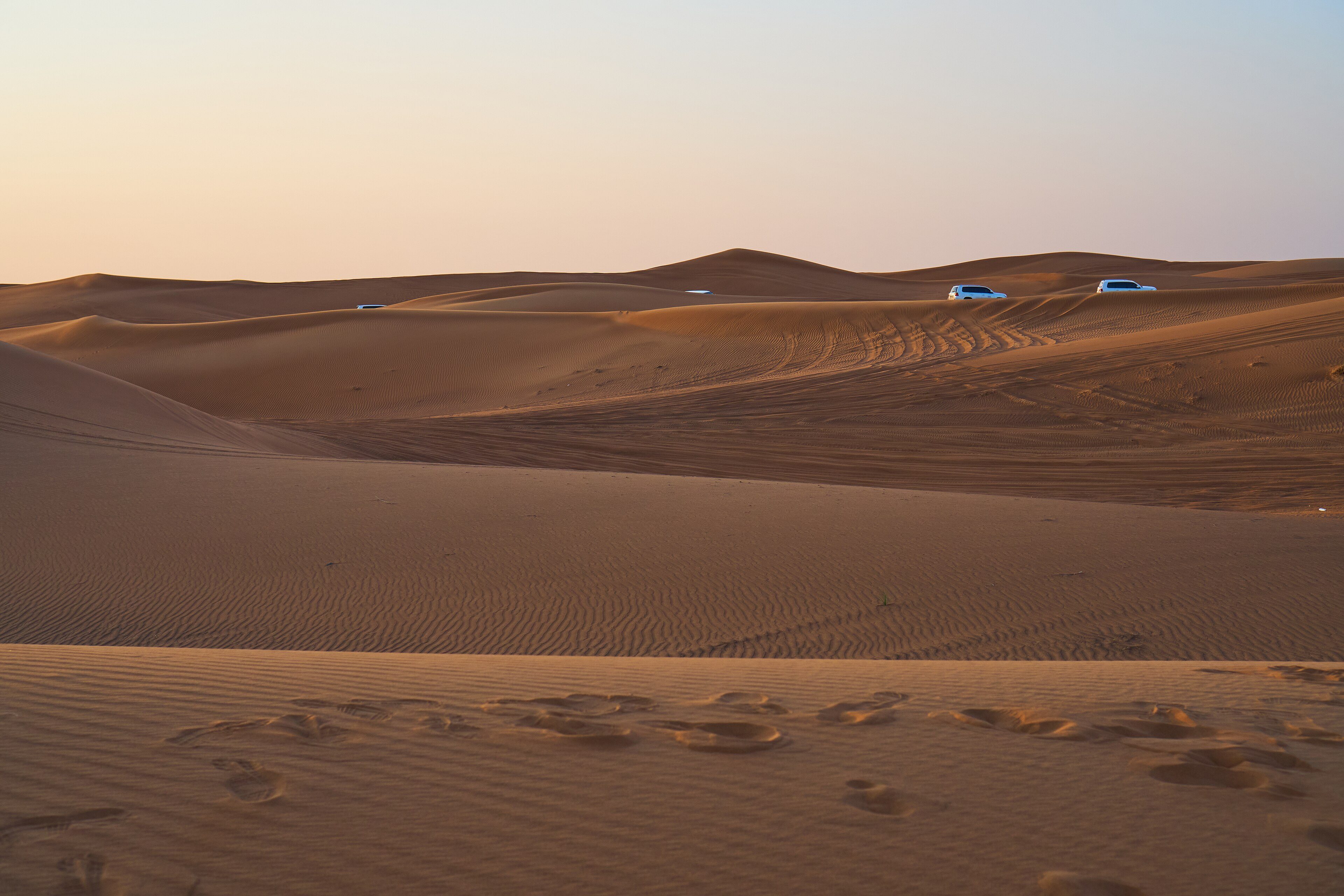 Dubai tour photo 10
