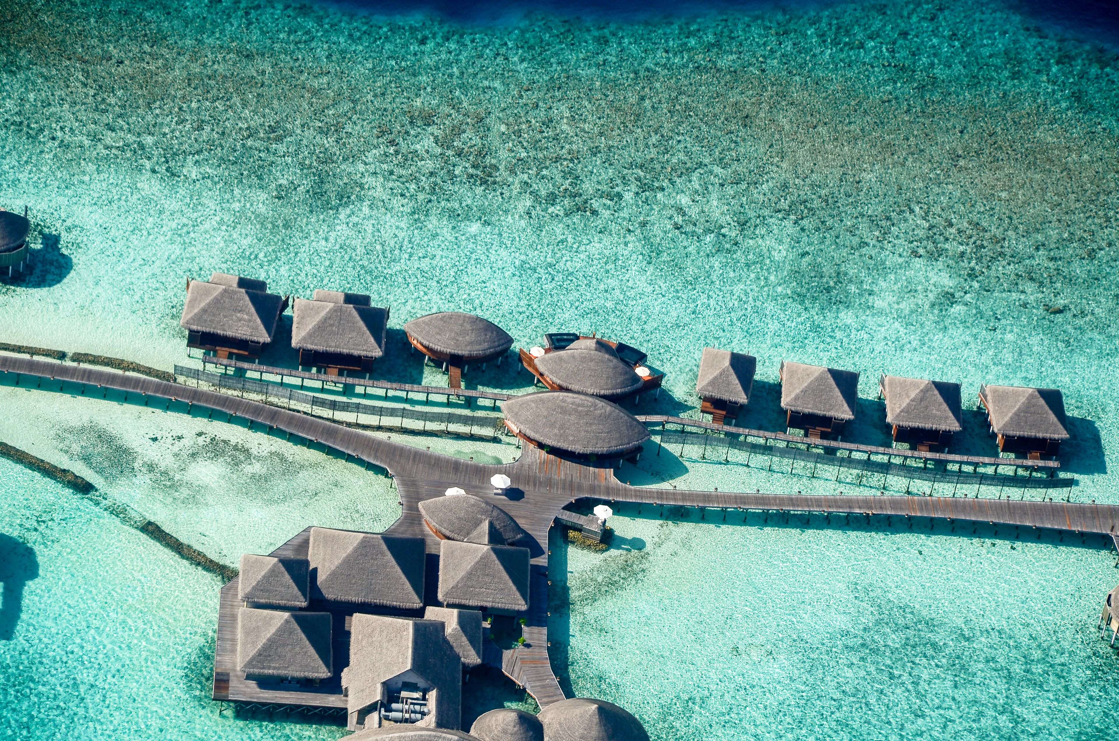 Maldives tour photo 3
